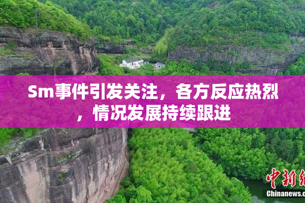 Sm事件引发关注，各方反应热烈，情况发展持续跟进
