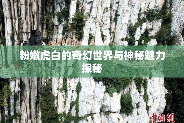 粉嫩虎白的奇幻世界与神秘魅力探秘