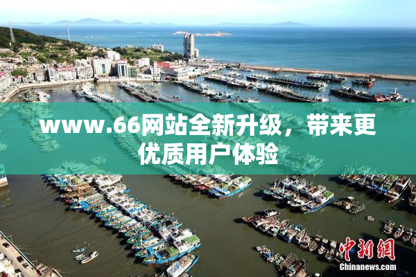 www.66网站全新升级，带来更优质用户体验