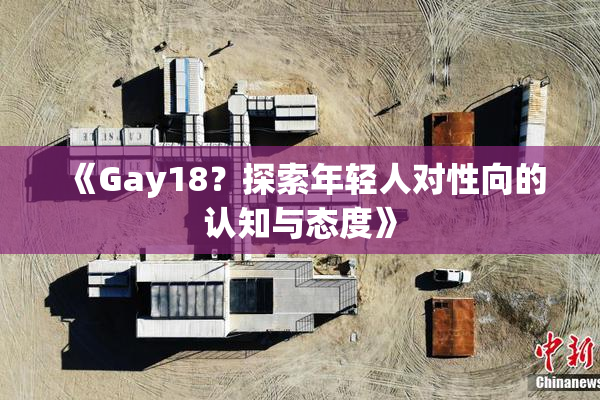 《Gay18？探索年轻人对性向的认知与态度》