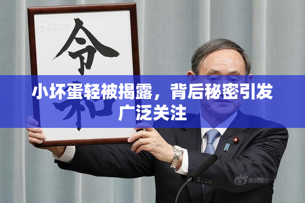 小坏蛋轻被揭露，背后秘密引发广泛关注
