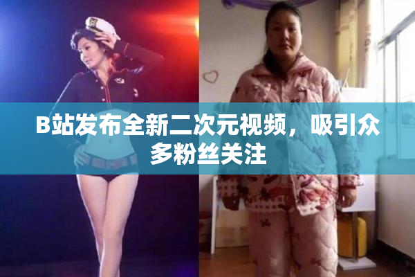 B站发布全新二次元视频，吸引众多粉丝关注