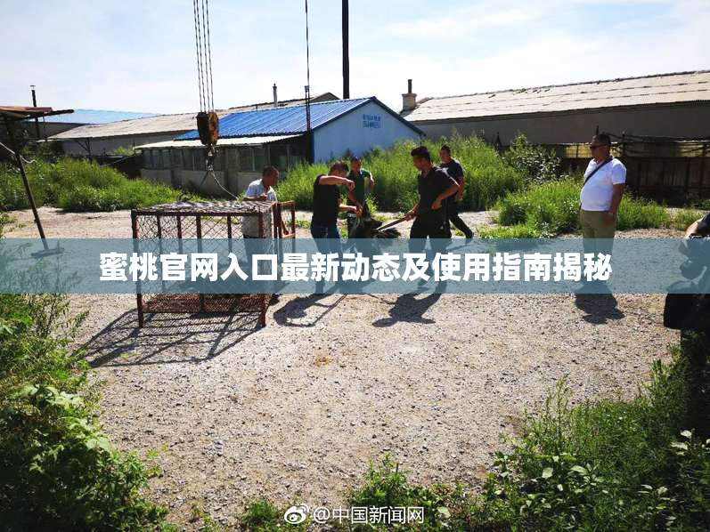 蜜桃官网入口最新动态及使用指南揭秘