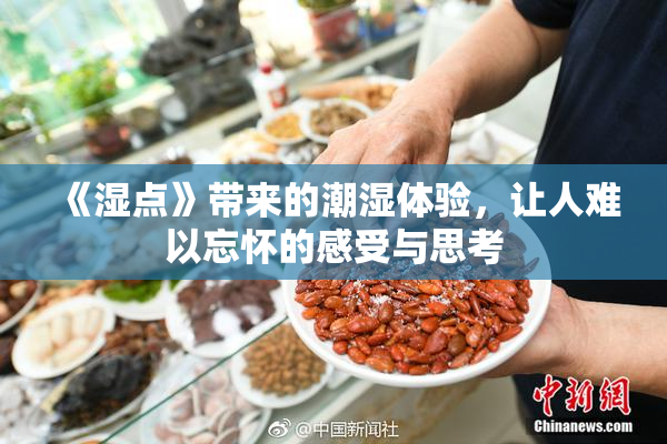 《湿点》带来的潮湿体验，让人难以忘怀的感受与思考
