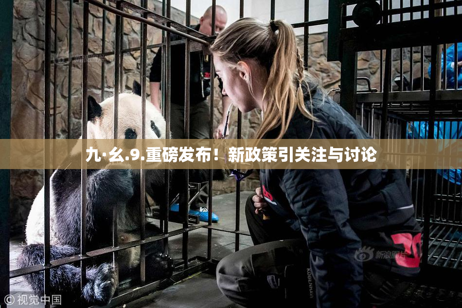 九·幺.9.重磅发布！新政策引关注与讨论
