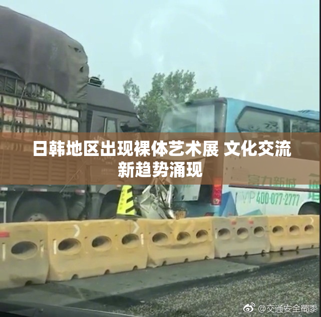 日韩地区出现裸体艺术展 文化交流新趋势涌现
