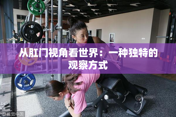 从肛门视角看世界：一种独特的观察方式