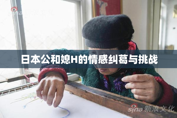 日本公和媳H的情感纠葛与挑战