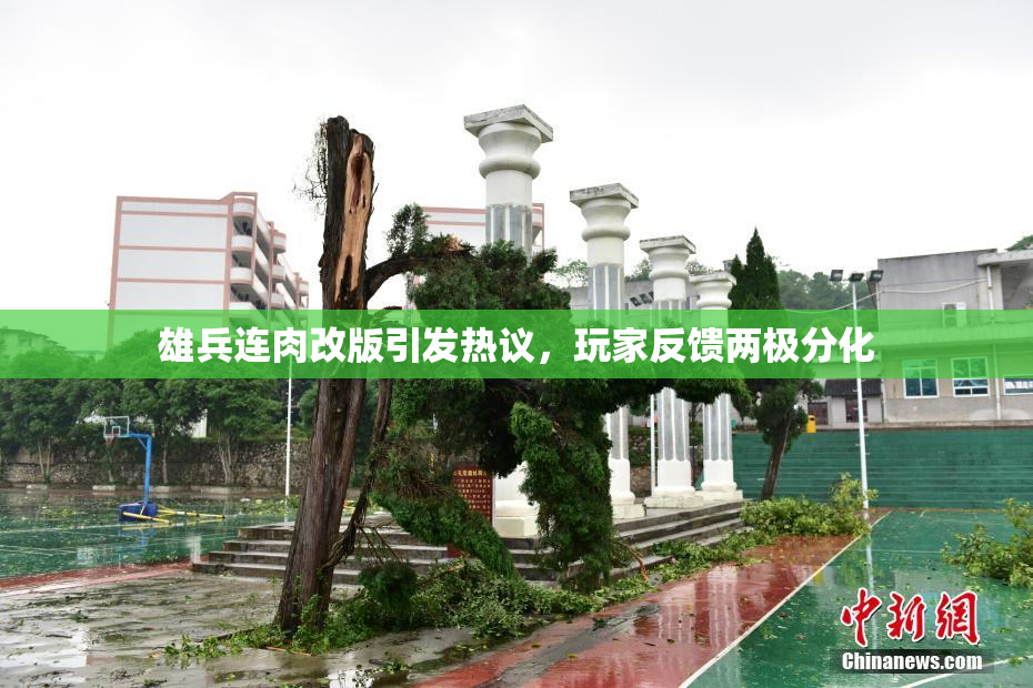 雄兵连肉改版引发热议，玩家反馈两极分化