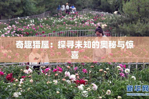 奇趣猎屋：探寻未知的奥秘与惊喜