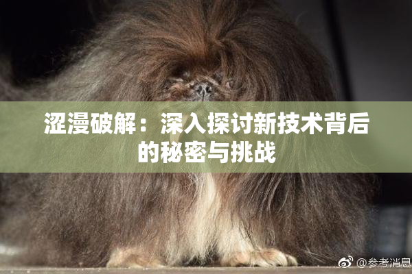 涩漫破解：深入探讨新技术背后的秘密与挑战
