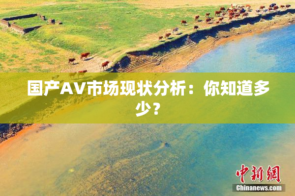 国产AV市场现状分析：你知道多少？