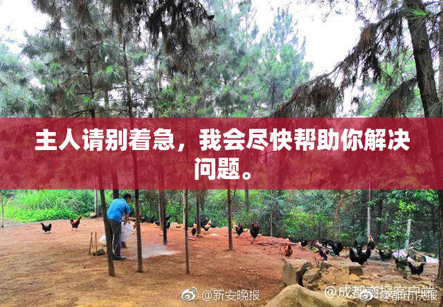 主人请别着急，我会尽快帮助你解决问题。