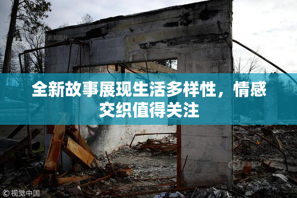 全新故事展现生活多样性，情感交织值得关注