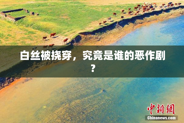 白丝被挠穿，究竟是谁的恶作剧？