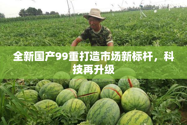 全新国产99重打造市场新标杆，科技再升级