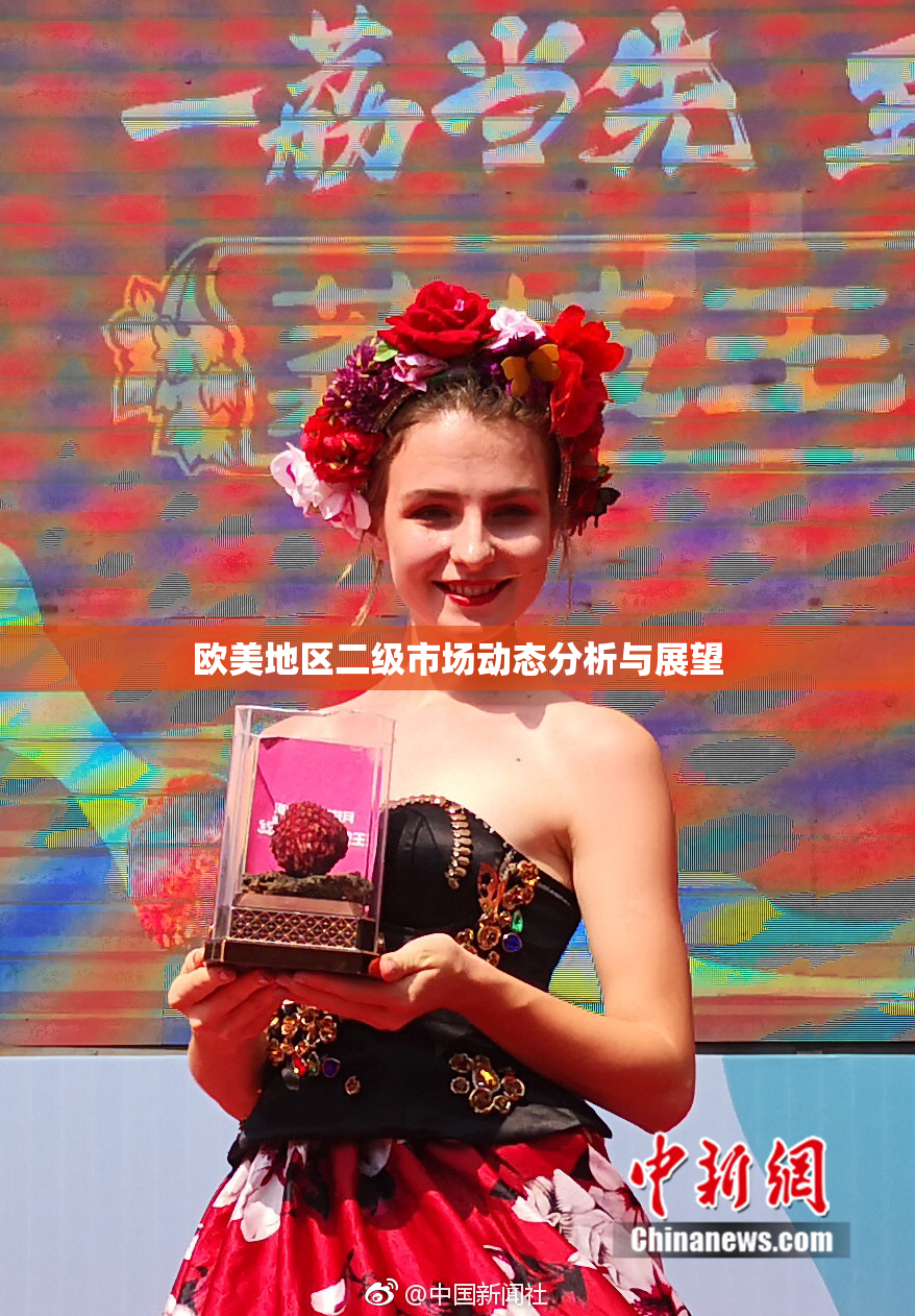 欧美地区二级市场动态分析与展望