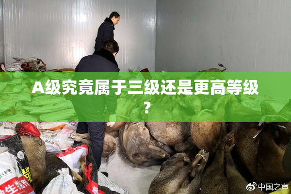 A级究竟属于三级还是更高等级？