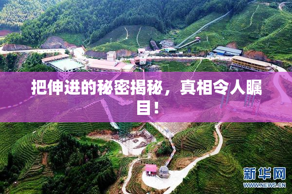 把伸进的秘密揭秘，真相令人瞩目！