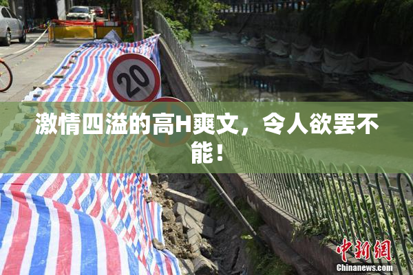 激情四溢的高H爽文，令人欲罢不能！