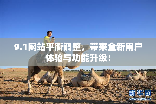 9.1网站平衡调整，带来全新用户体验与功能升级！