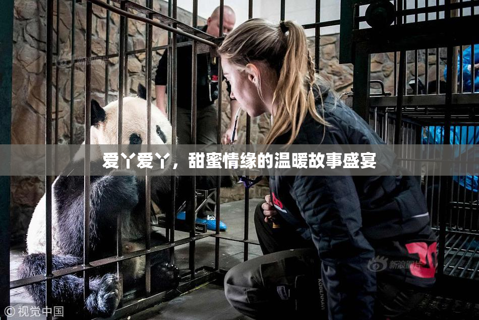 爱丫爱丫，甜蜜情缘的温暖故事盛宴