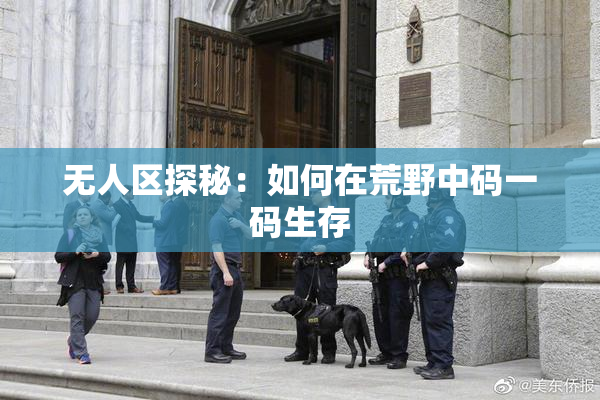 无人区探秘：如何在荒野中码一码生存
