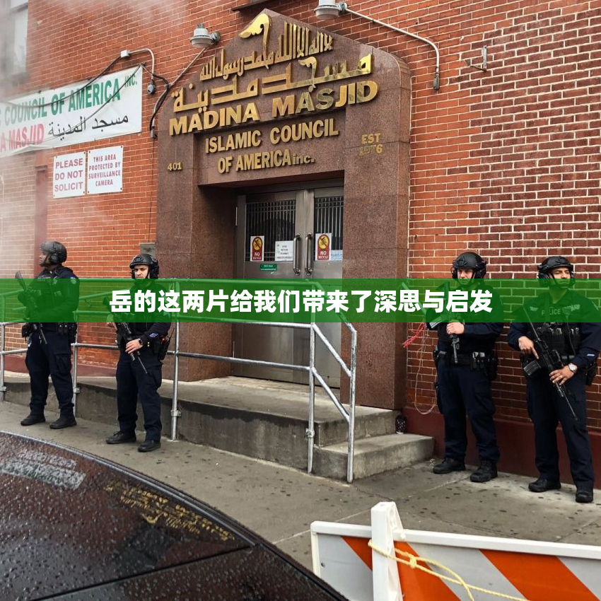 岳的这两片给我们带来了深思与启发