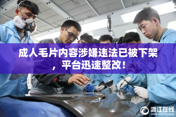 成人毛片内容涉嫌违法已被下架，平台迅速整改！