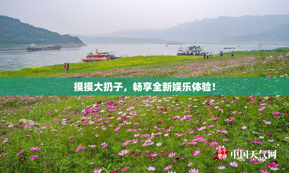 摸摸大扔子，畅享全新娱乐体验！