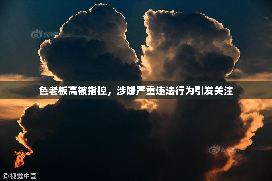 色老板高被指控，涉嫌严重违法行为引发关注