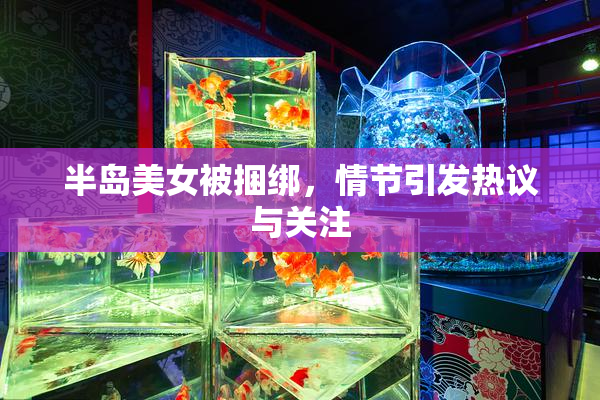 半岛美女被捆绑，情节引发热议与关注