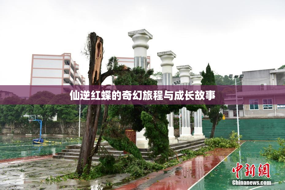 仙逆红蝶的奇幻旅程与成长故事