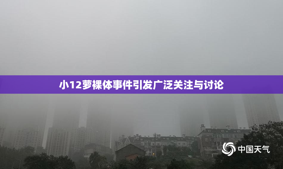 小12萝裸体事件引发广泛关注与讨论