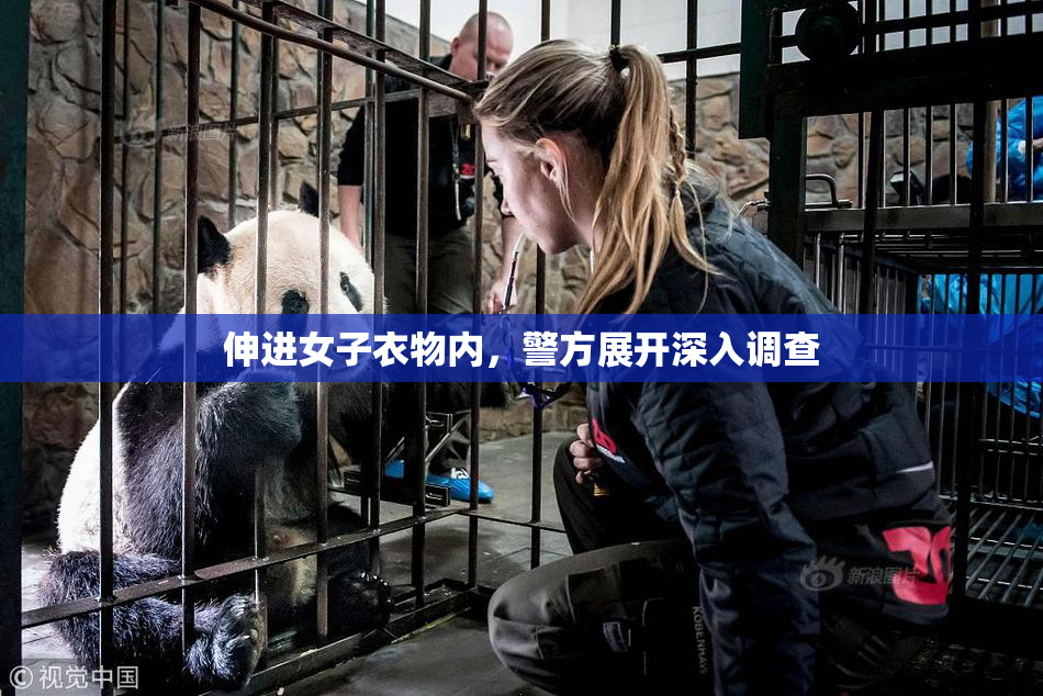 伸进女子衣物内，警方展开深入调查
