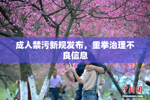 成人禁污新规发布，重拳治理不良信息
