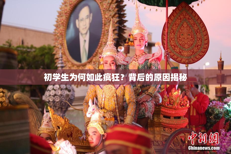 初学生为何如此疯狂？背后的原因揭秘