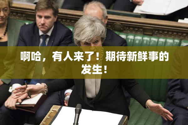 啊哈，有人来了！期待新鲜事的发生！