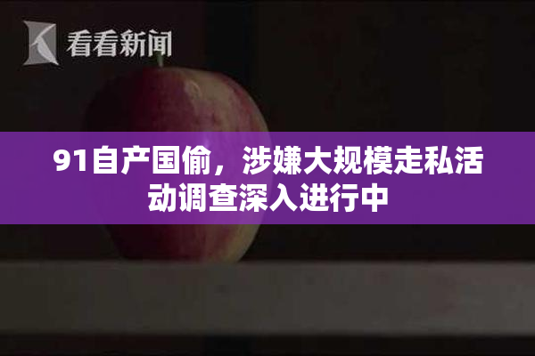 91自产国偷，涉嫌大规模走私活动调查深入进行中