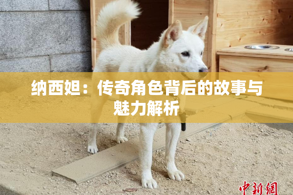 纳西妲：传奇角色背后的故事与魅力解析