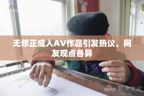 无修正成人AV作品引发热议，网友观点各异