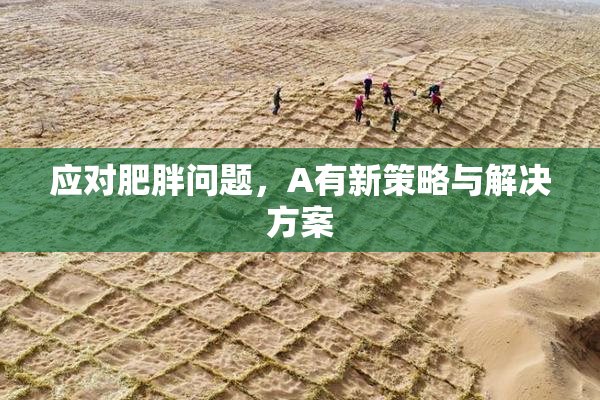 应对肥胖问题，A有新策略与解决方案