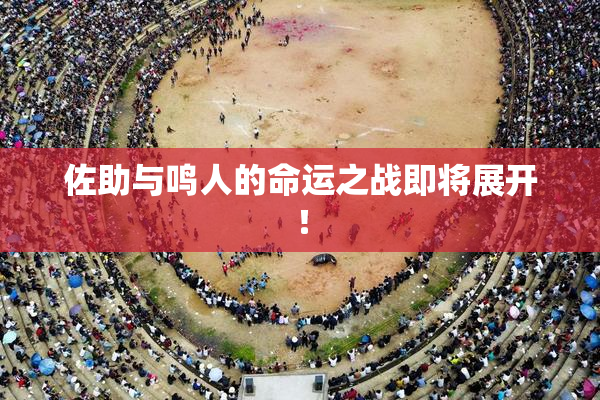 佐助与鸣人的命运之战即将展开！