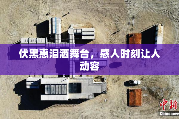 伏黑惠泪洒舞台，感人时刻让人动容