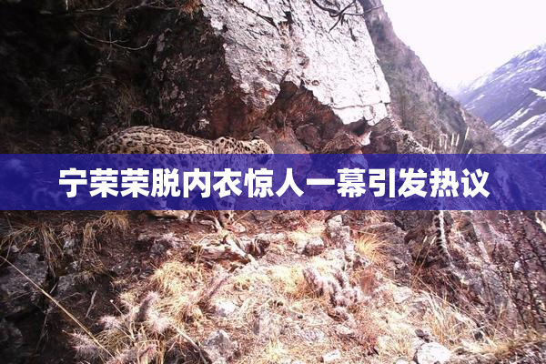 宁荣荣脱内衣惊人一幕引发热议