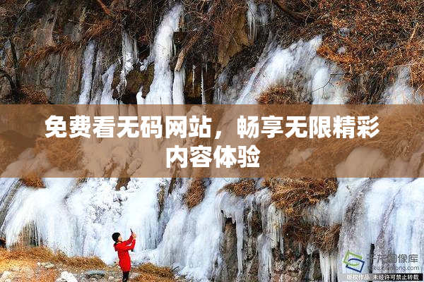 免费看无码网站，畅享无限精彩内容体验