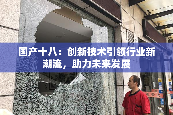 国产十八：创新技术引领行业新潮流，助力未来发展