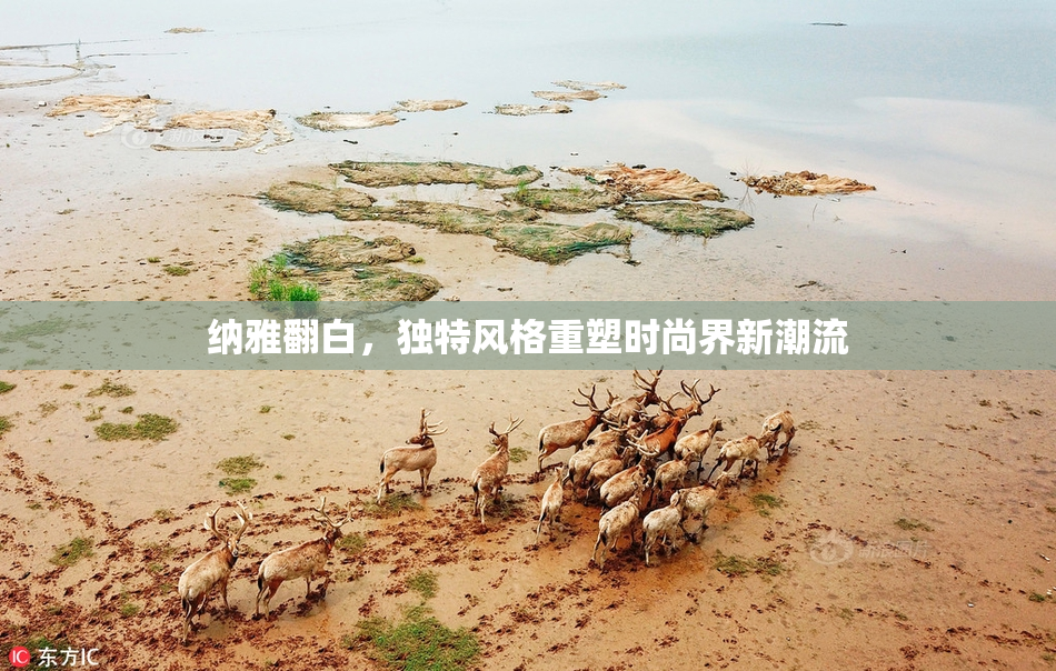 纳雅翻白，独特风格重塑时尚界新潮流