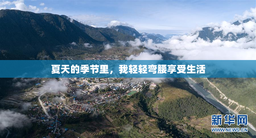 夏天的季节里，我轻轻弯腰享受生活