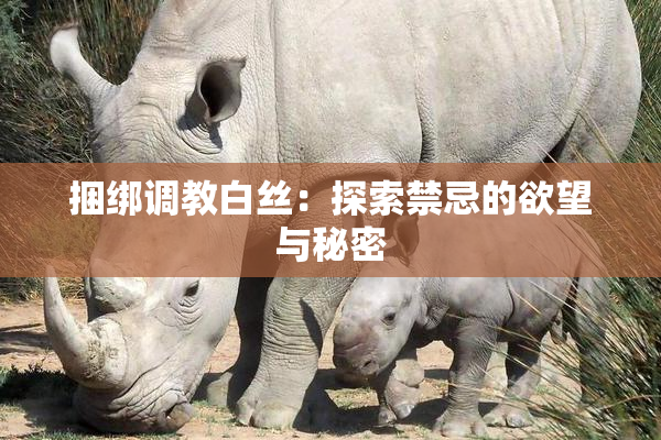 捆绑调教白丝：探索禁忌的欲望与秘密